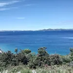 Mobile Palma Drage