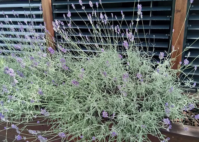 假日公园 Mobile Palma *